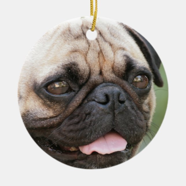 Pug Dog Ornament (Front)