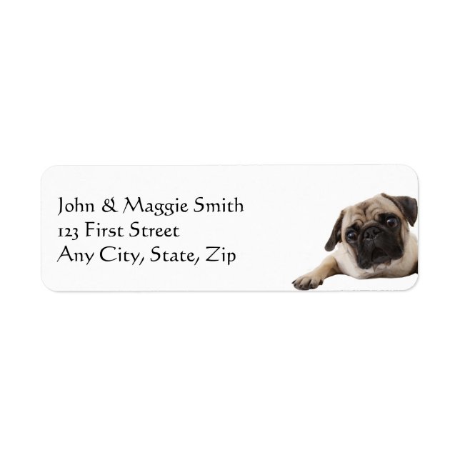 Pug Dog Pet Animal (Front)