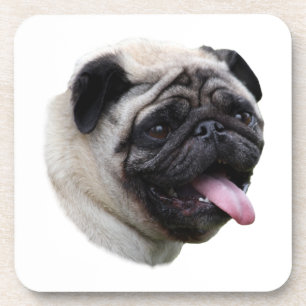 Pug dog pet photo portrait coaster