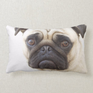 Pug Dog Pillow