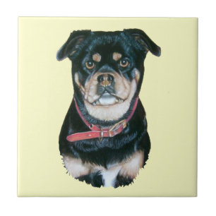pug dog portrait realist art black and tan dog tile