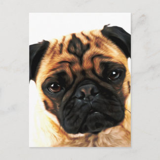 pug dog postcard