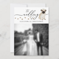 Pug Dog puppy Wedding Photo