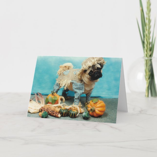 Pug Dog Scarecrow Card (Front)