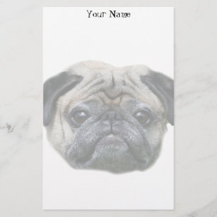 Pug dog stationary stationery