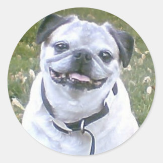 Pug Dog Sticker