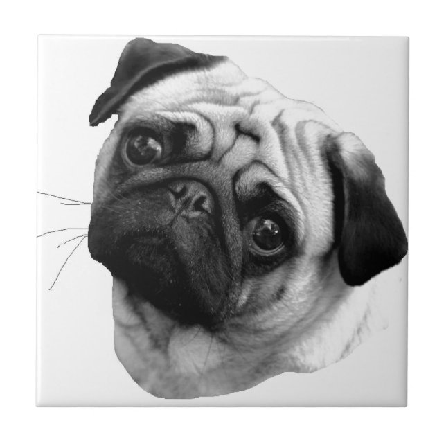 Pug Dog Tile (Front)