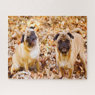 Pug Dogs. Jigsaw Puzzle