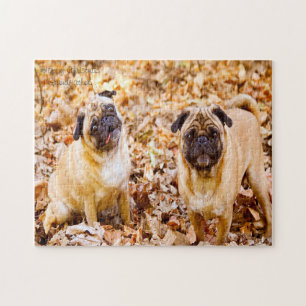 Pug Dogs. Jigsaw Puzzle