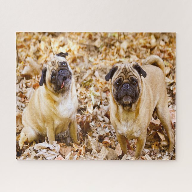 Pug Dogs. Jigsaw Puzzle (Horizontal)