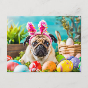 Pug Dressed as Easter Bunny with Eggs Postcard