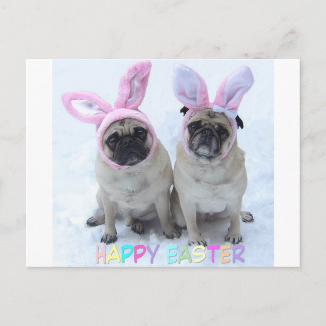 Pug Easter Bunny Holiday Postcard (Front)