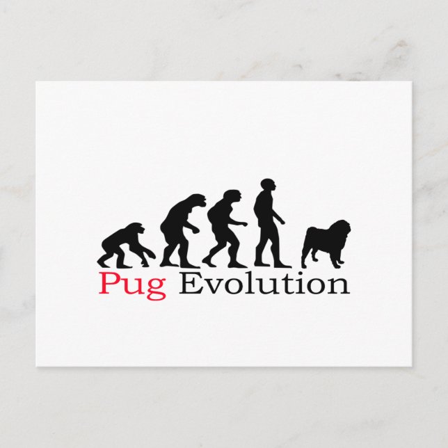 Pug Evolution Postcard (Front)