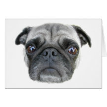 Pug Face Card