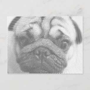 Pug Face Postcard