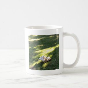 Pug Faceplant Coffee Mug