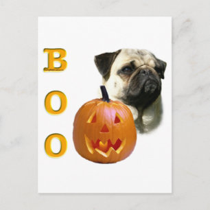 Pug (fawn) Boo Postcard