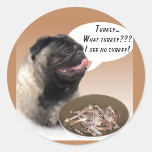 Pug (fawn) Turkey Classic Round Sticker