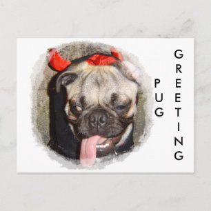 Pug Greeting Postcard