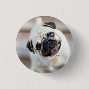 Pug Head Tilt 3 Cm Round Badge