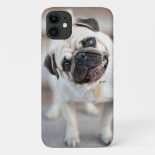 Pug Head Tilt Case-Mate iPhone Case