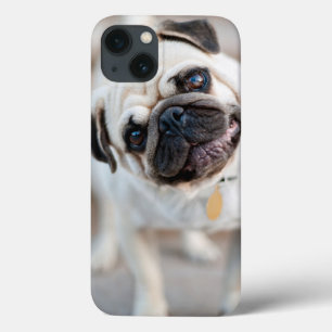 Pug Head Tilt iPhone 13 Case