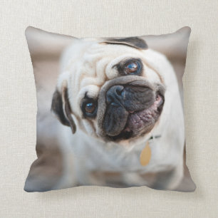 Pug Head Tilt Cushion