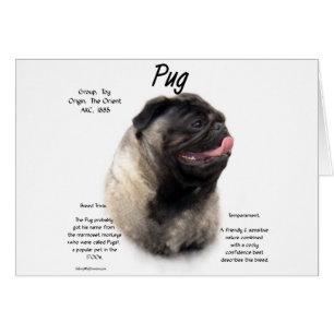 Pug History Design