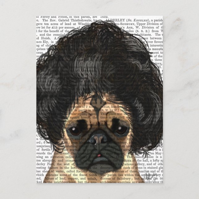 Pug In A Bad Wig Postcard (Front)