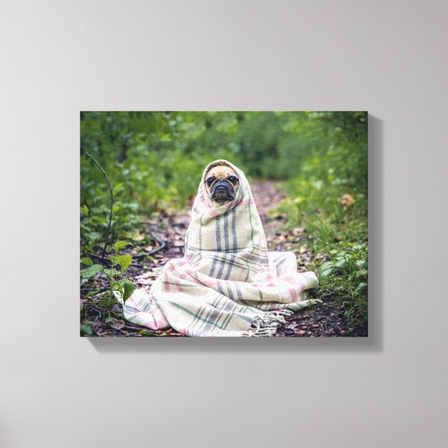 Pug in a Blanket Canvas Print (Front)