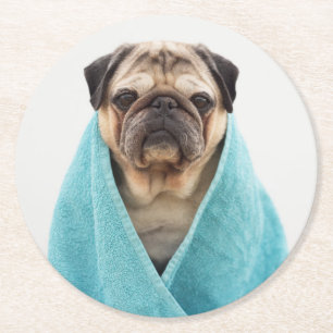 Pug in a Towel Round Paper Coaster