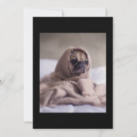Pug In Blanket Cute Pug Dog Lover Gift