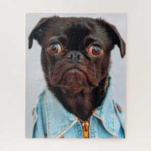 Pug in Denim Jackey Cute Adorable Dog Puppy Jigsaw Puzzle