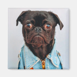 Pug in Denim Jackey Cute Adorable Dog Puppy Magnet