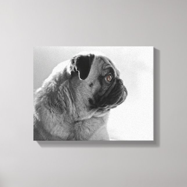 Pug in Profile Canvas Print (Front)