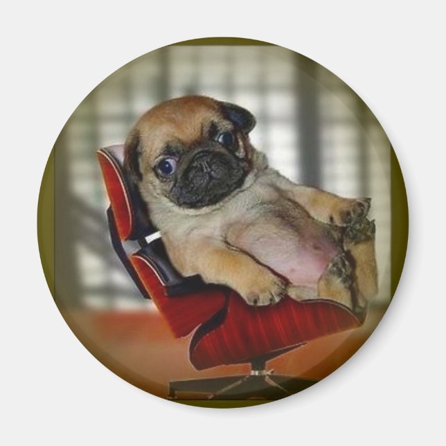 Pug it! magnet (Front)