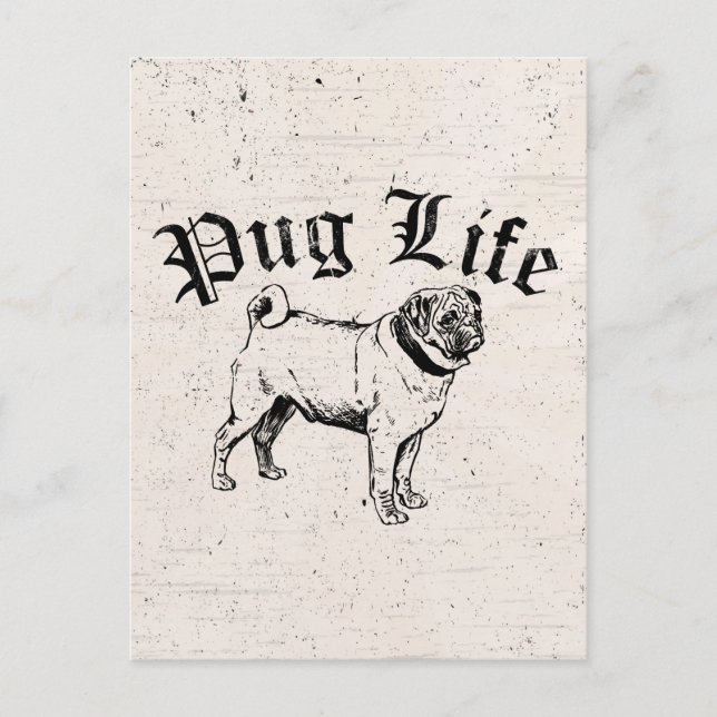 Pug Life Funny Dog Gangster Postcard (Front)