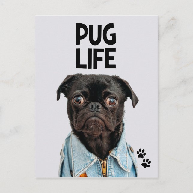 Pug Life Postcard (Front)