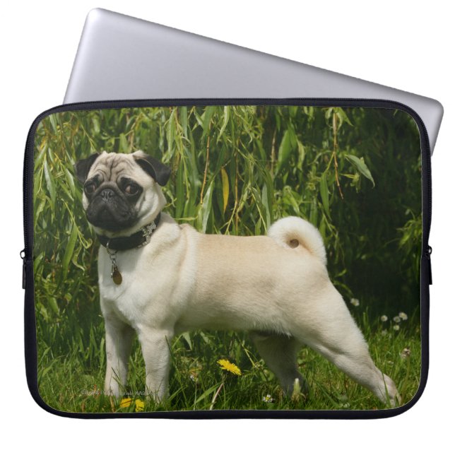 Pug Lookign at Camera Laptop Sleeve (Front)