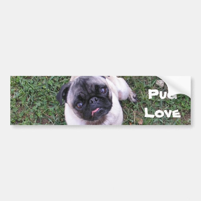 Pug Love Bumper Sticker (Front)
