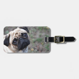 PUG LUGGAGE TAG