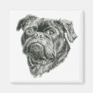 Pug Magnet