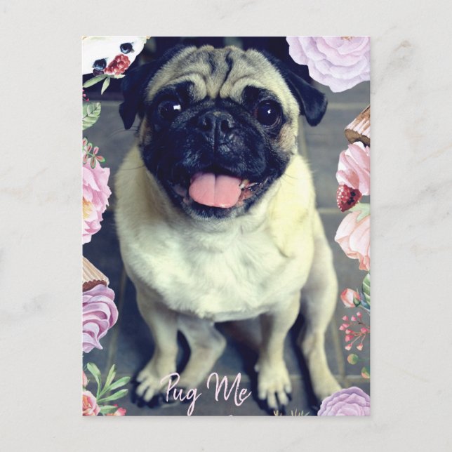 Pug Me - Happy Pug Postcard (Front)