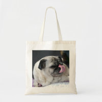PUG - MOPS - Photography Jean-Louis Glineur