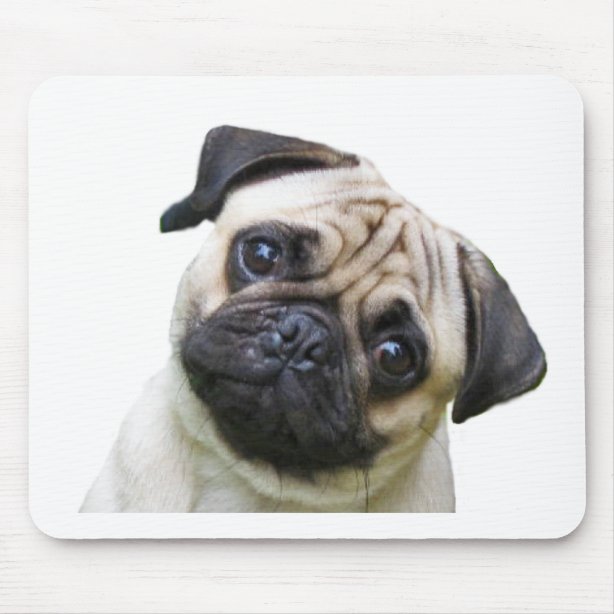 Cute Dog Mouse Pads Zazzle NZ