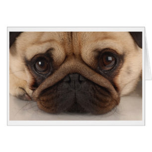 Pug Mug Card