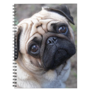 PUG NOTEBOOK