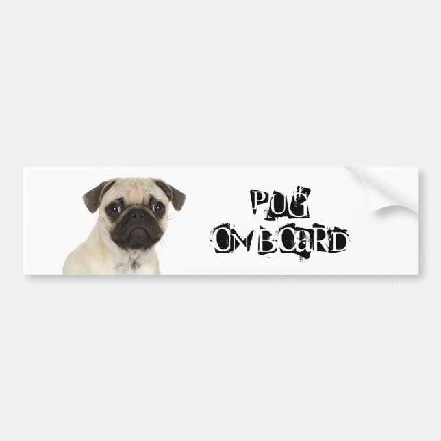 Pug on Board Bumper Sticker (Front)