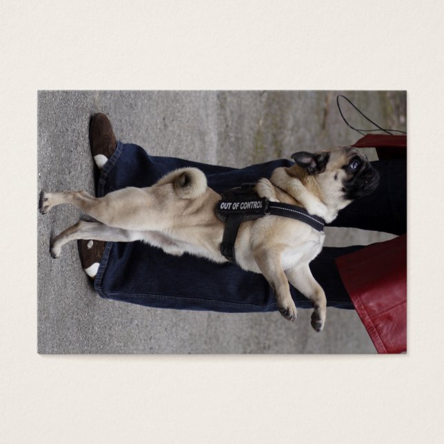 Pug Out Of Control (Front)