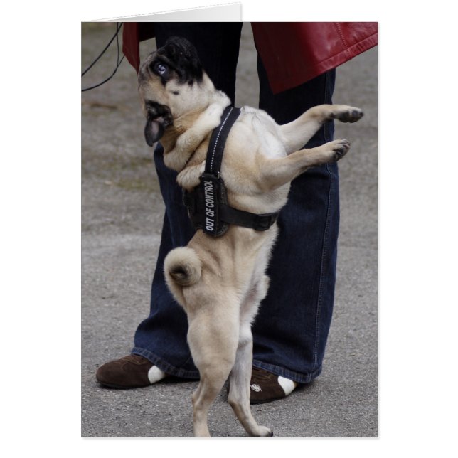 Pug Out Of Control (Front)